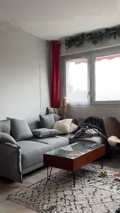 Neighborhood patrol : cat edition 🔍🐾 Patrouille de quartier version chat 🔍