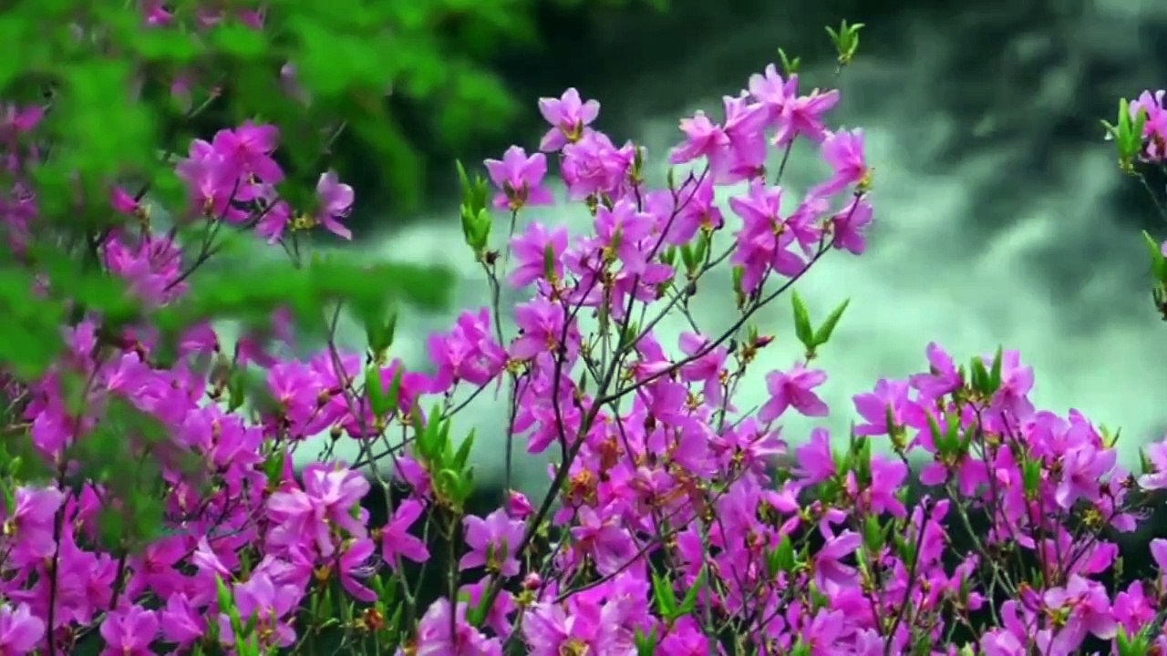 Vijay Benedict Hindi Christian Songs | Soulful Praise & Worship Music विजय बेनेडिक्ट हिंदी क्रिश्चियन गाने | दिव्य स्तुति और आराधना संगीत All Times Hit Old Hindi Christian Worship Songs |