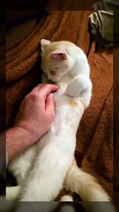 He thinks he's sneaky