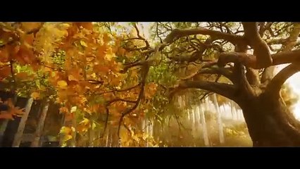 The Lord of the Rings_ The Rings of Power _ Season 2 – Official Trailer _ Prime Video