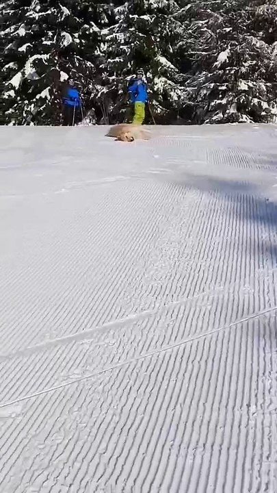 Glide into Smoothness!