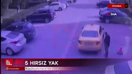 İstanbul Küçükçekmece'de 750 bin lira değerinde kaban çaldılar
