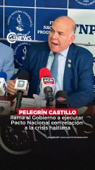 Pelegrín Castillo llama al Gobierno a ejecutar Pacto Nacional con relación a la crisis haitiana