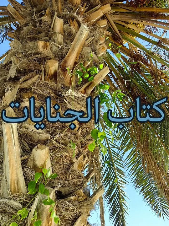 بلوغ المرام ( 92 )