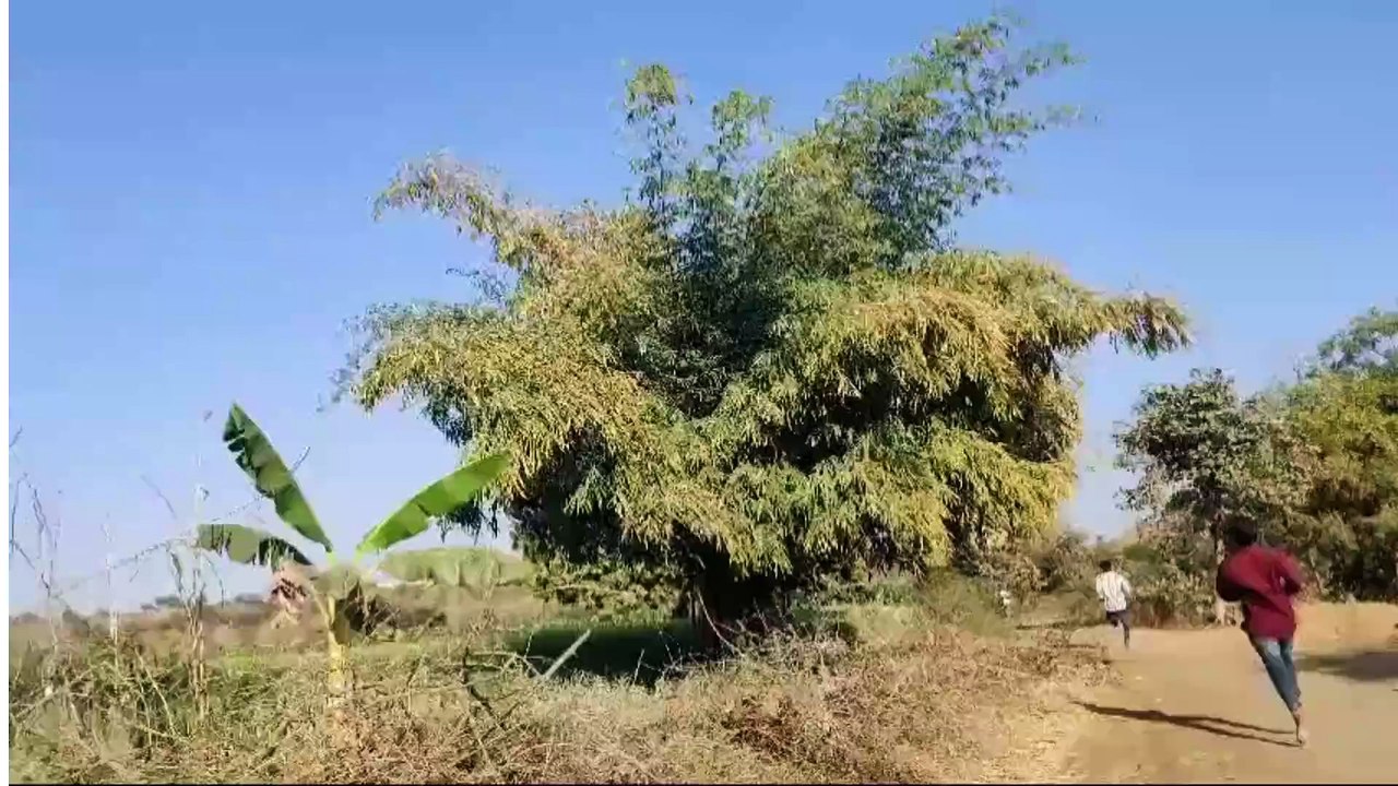 विधायक ने पीछा कर पकड़ी अवैध शराब से भरी गाड़ी