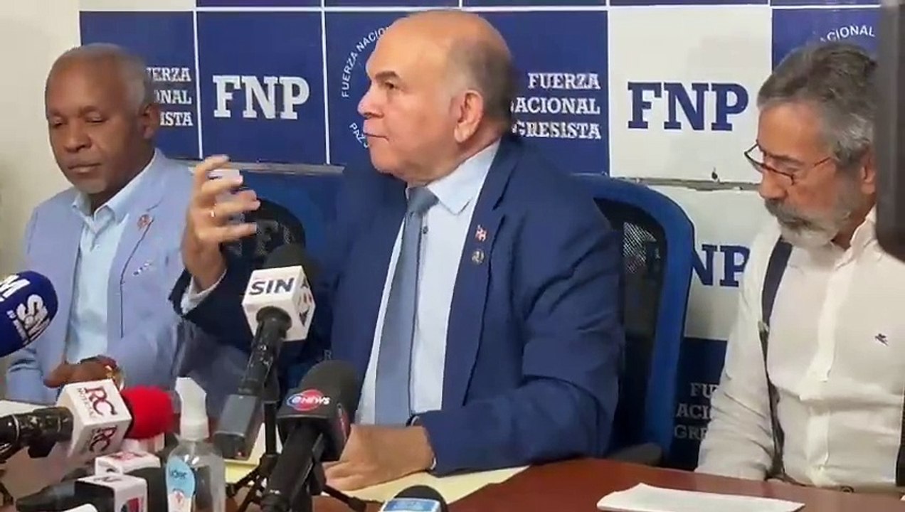 Pelegrín Castillo: “Necesitamos un Estado fuerte para controlar los recursos mineros en RD”