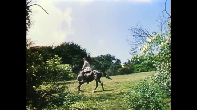 Unruhiges Blut (1948)