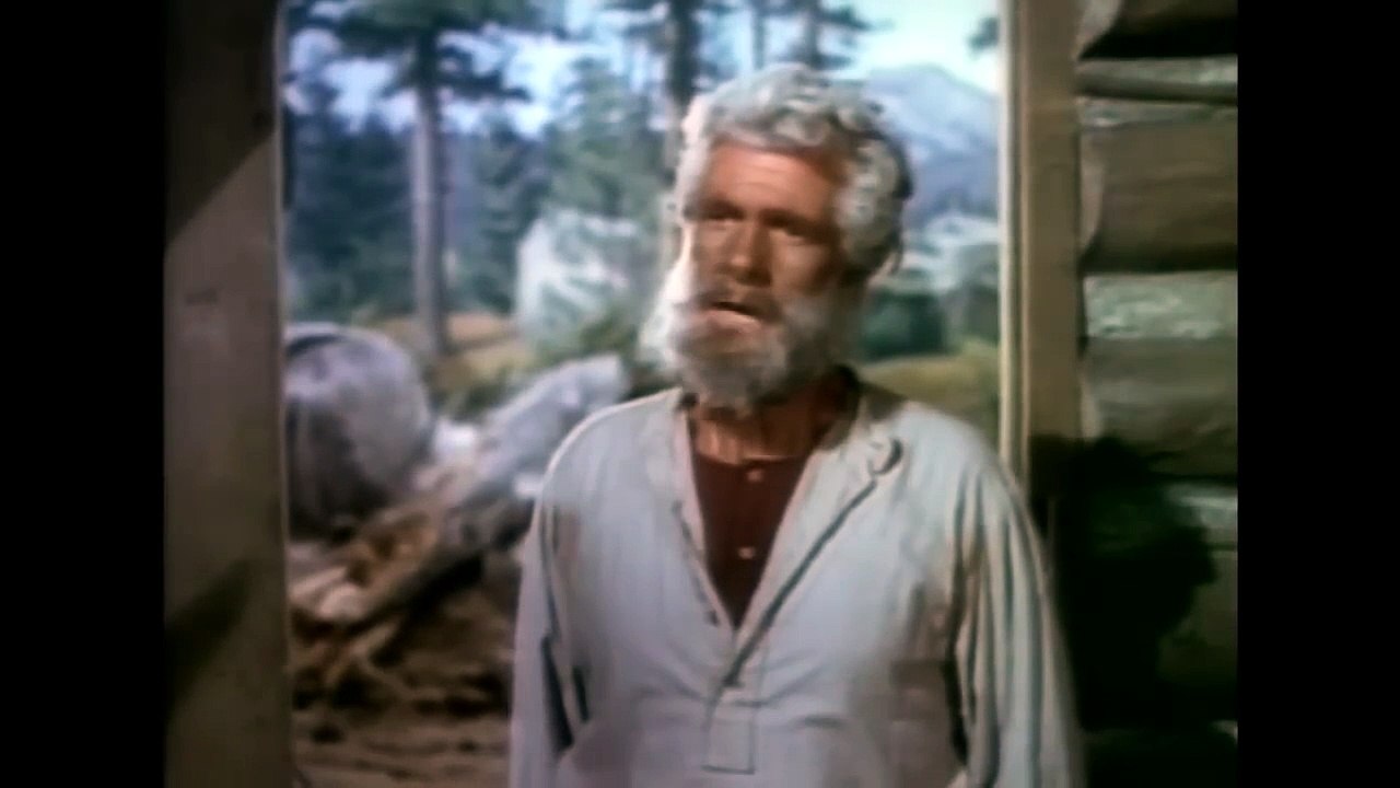 Lassie und die Goldgräber (1951)