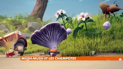 Mush-Mush & les Champotes