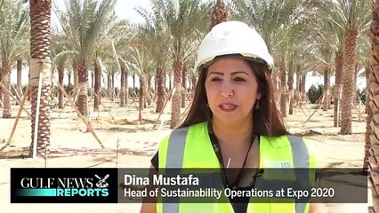 Expo Nursery: A Model for Sustainability