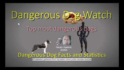 Top most dangerous dogs