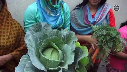 Residents go green in Muhaisnah, Dubai