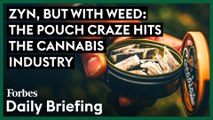 Zyn, But With Weed: The Pouch Craze Hits The Cannabis Industry