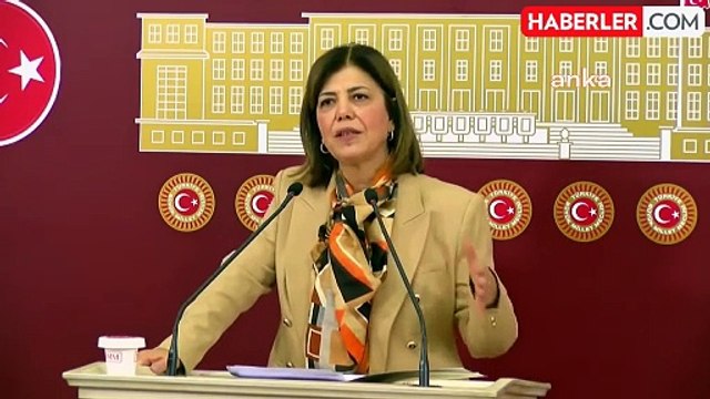 Hdk Eş Sözcüsü Beştaş'tan, Belediye Meclis Üyelerinin Gözaltına Alınmasına Tepki: Oy Verme İşlemi Cezalandırılıyor
