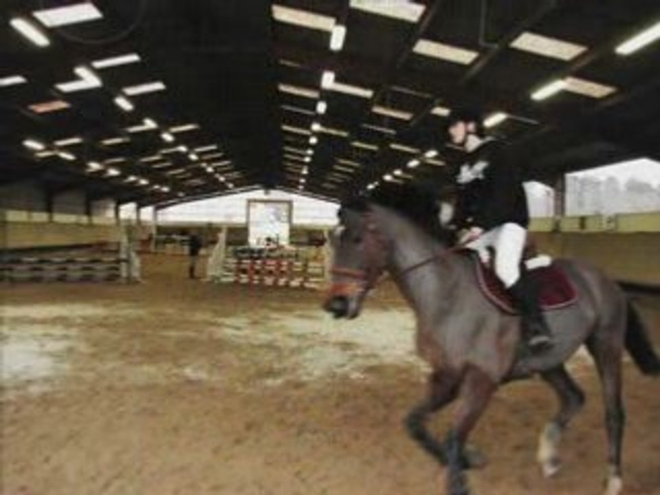 Les chevaux que j'aime