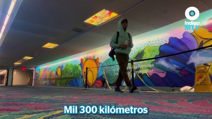 Super Bowl LIX visto desde las calles de Nueva Orleans | Reporte Indigo