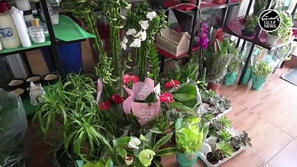 Jenny Joseph: The florist turned entrepreneur whose life blossomed in the UAE