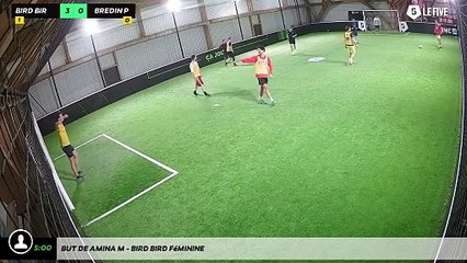 But de Amina M - Bird Bird Féminine