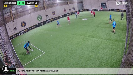 But de Terry F - Bayer Leverkusec