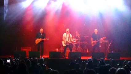 Mark Seymour - Do You See What I See