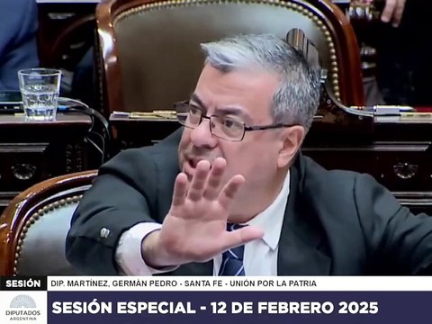 Germán Martínez tuvo un cruce con Martín Menem en la sesión de la Cámara de Diputados