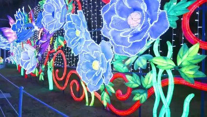 Dubai Garden Glow opens for its 5th season