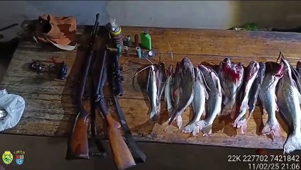 Quatro homens foram presos com armas, peixes e apetrechos de pesca em Icaraíma