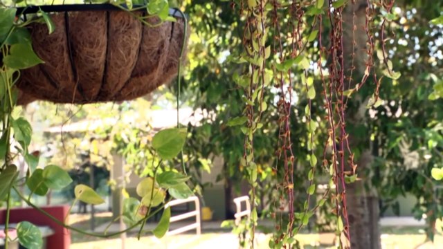 NT government extends funding for domestic violence programs