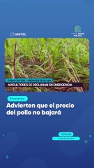 Advierten que el precio del pollo no bajará