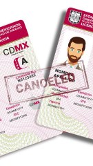 ¿El SAT te puede multar si no pagas una infracción de tránsito? | Reporte Indigo