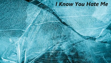 Sean Ferree - I Know You Hate Me (Official Music Video)