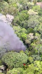 FAB derruba avião venezuelano com traficantes que entrou ilegalmente na Amazônia. Vídeo