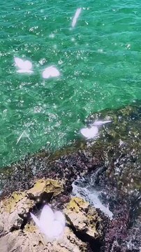 J'ai arrêté de me poser des questions sur certaines personnes #motivation #conseils #inspiration #success #citation #proverbe #conseil