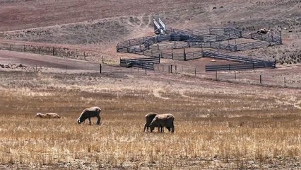 Blue Hill Survey Road, Bangor, South Australia