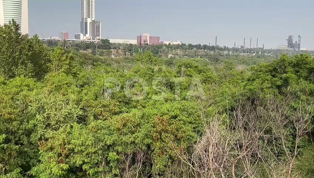 Hallan mujer muerta sobre el lecho del Río Santa Catarina en Monterrey