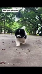 I forgot sunscreen for 2 hours when I went out and came home like that