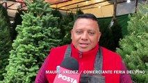 Acuden regios a la Feria del Pino en Monterrey