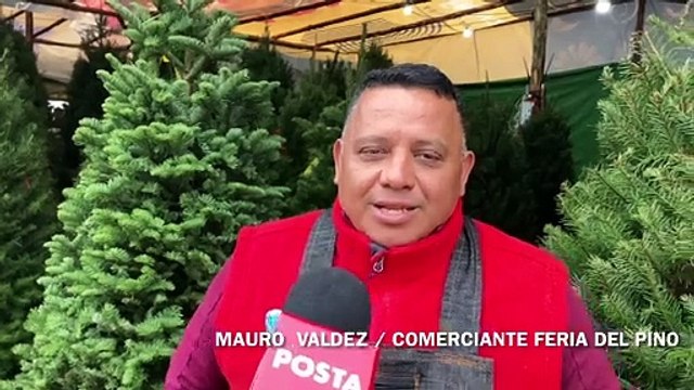 Acuden regios a la Feria del Pino en Monterrey