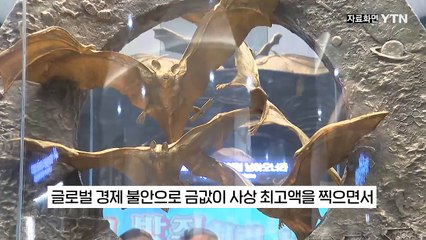 금값 오를 때마다 '재평가'...함평 황금박쥐상 근황 [지금이뉴스] / YTN