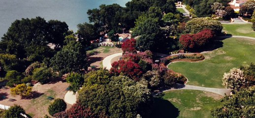 How to Fix Looping Video Banners on Dailymotion 🎥