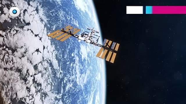 ¿Asteroide 2024 YR4 se acerca a la Tierra? Aquí te contamos la verdad I Reporte Indigo