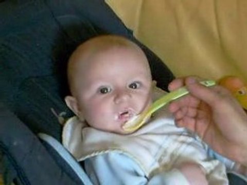 Theo premier yahourt 020508