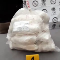 Decomisan droga en General Bravo, Nuevo León
