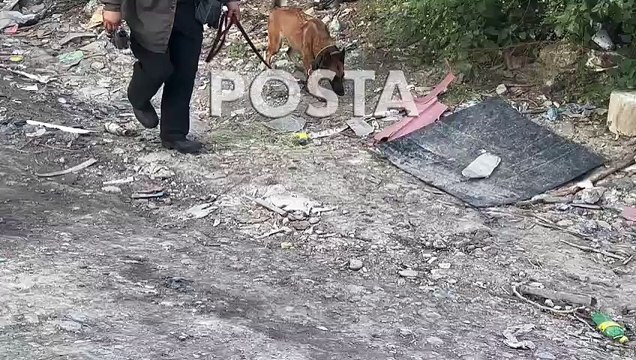 Grupo antisecuestros encuentra restos humanos en Guadalupe