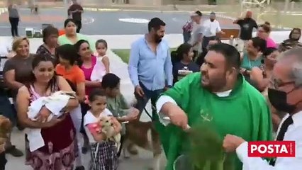 Bendicen mascotas en iglesia católica de San Nicolás