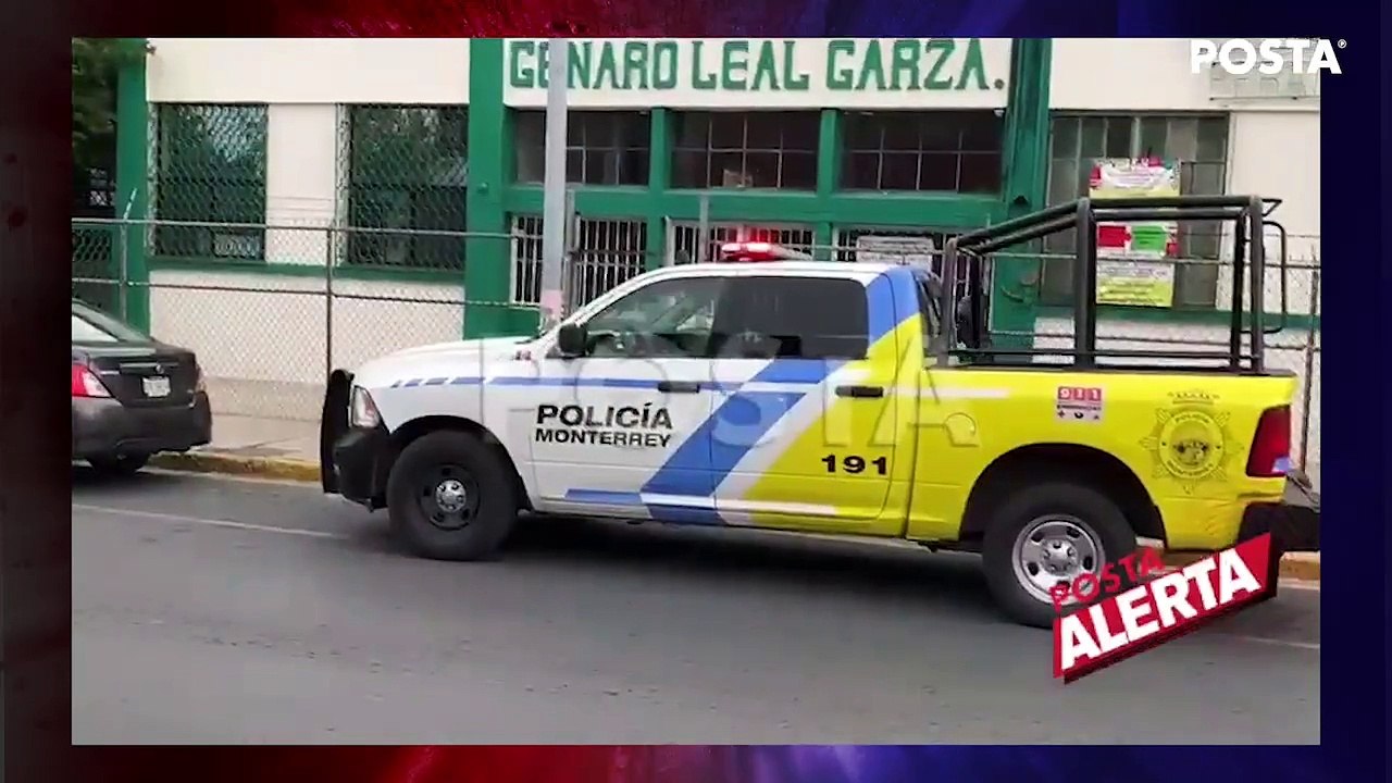 Avistamiento de osos en Monterrey; Esto y más en POSTA Alerta