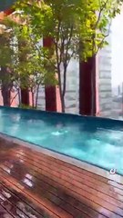 VIDEO: Así se vivió el sismo de magnitud 7.7 en México