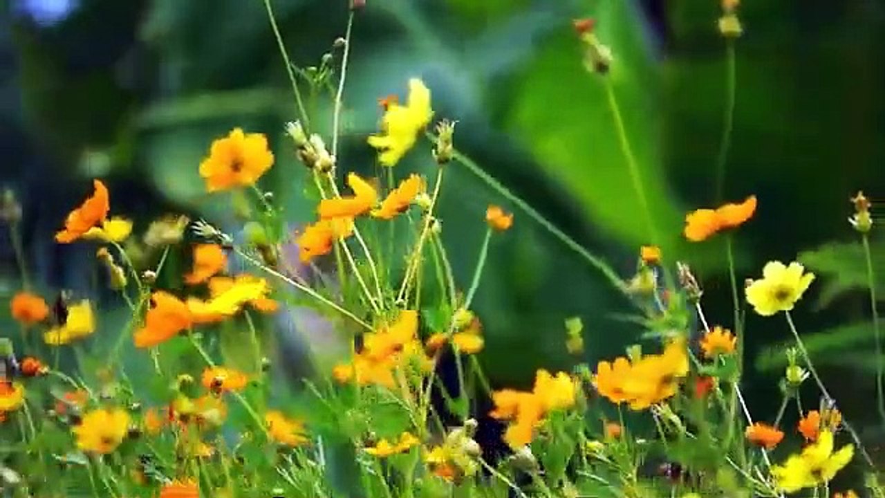 আজ বৃহস্পতিবার রাতে দোয়াটি ৩ বার পড়ুন ৯০ বছরের গুনাহ মাফ হবে কষ্ট অভাব ঋণ পরিশোধ হবে। দোয়া ও আমল