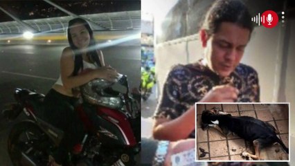Buscan a pareja que habría abandonado a un perro en un balcón hasta su muerte en Bucaramanga