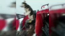Traktör süren Sibirya kurdu